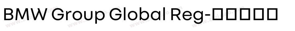 BMW Group Global Reg字体转换